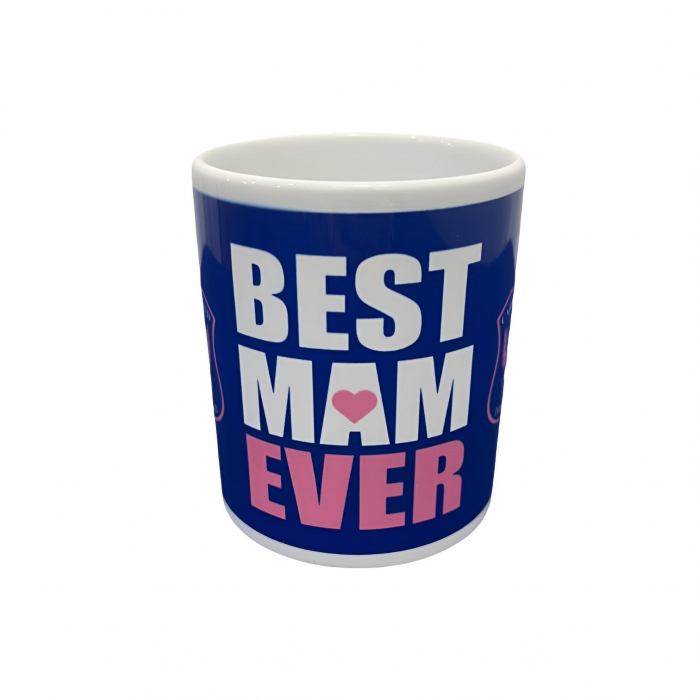 Best Mam Mug